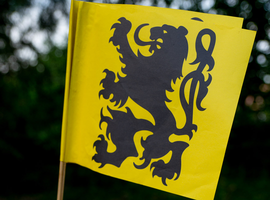 N-VA Heusden-Zolder viert de Vlaamse Feestdag Vlaamse Feestdag - Vlagje